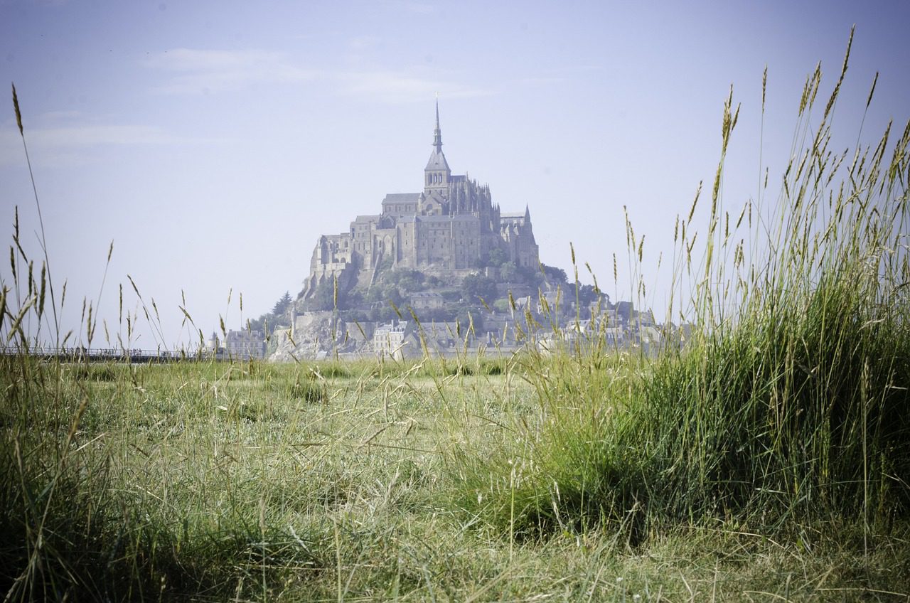 Kennel of Dogs in Boadilla del Monte