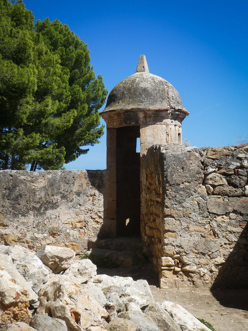 Criadero de Perros en Dénia