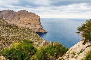 Criador de cães em Esplugues de Llobregat