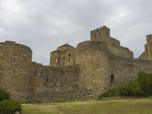 Kennels in Las Torres de Cotillas