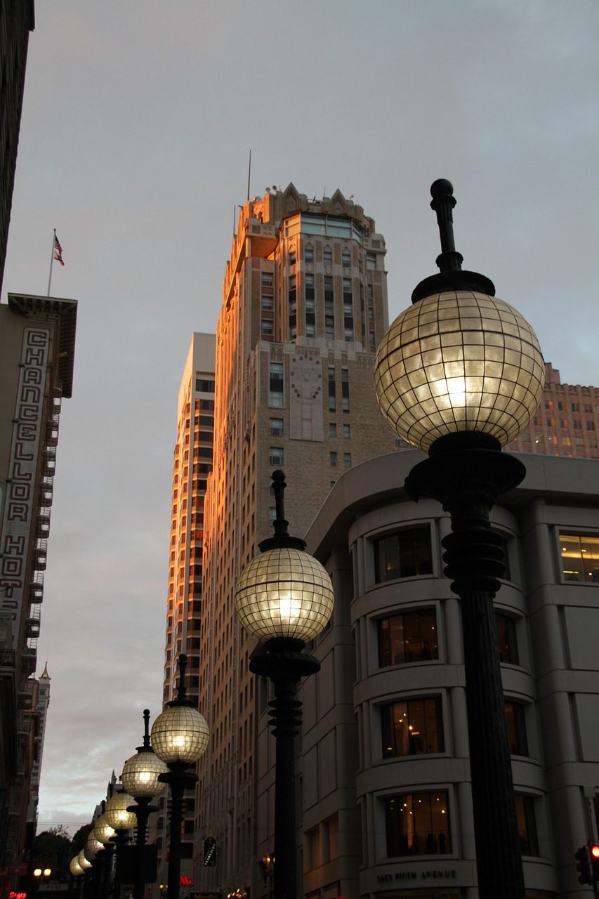 Chiens à San Bartolomé
