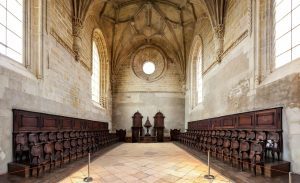 Kennel in Tomares