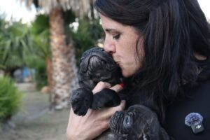 Bulldog Francés - Diana de la Jara