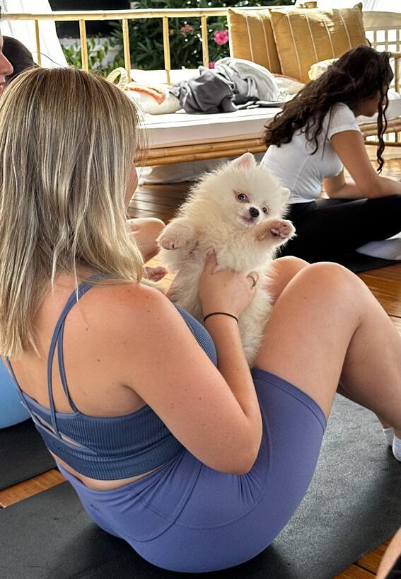 cachorros yoga - pups and yoga - pomerania
