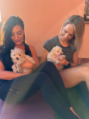 yoga and puppies - yoga con perritos - santa fe granada - diana de la jara